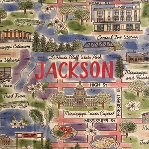 Jackson Mississippi Scenic Fabric Cotton 39”x44”